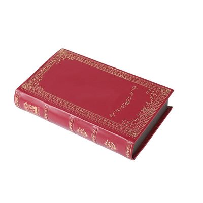 Rode van de het Parfumgift van de Boekvorm Vakjes 21*13*4cm met Magnetische Deksel en EVA Insert